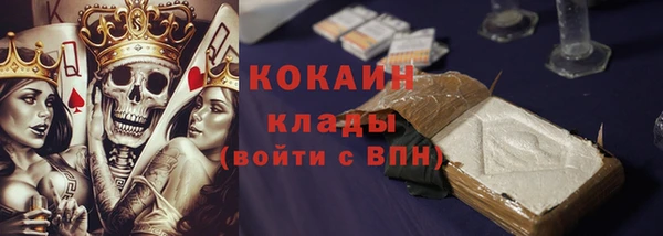 шишки Горнозаводск