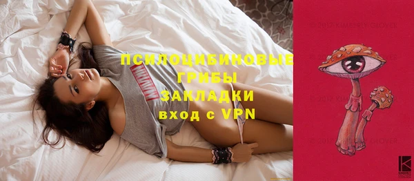 шишки Горнозаводск