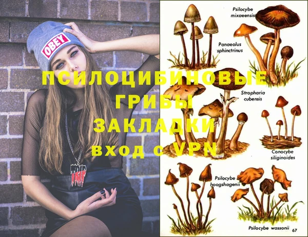 бошки Горно-Алтайск