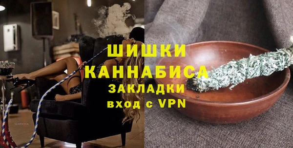 шишки Горнозаводск