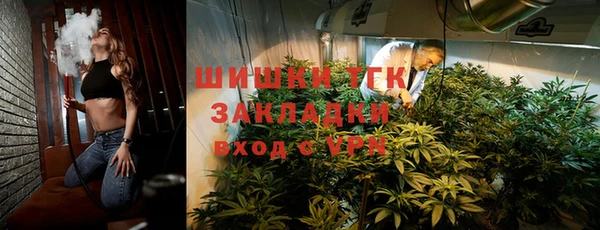 шишки Горнозаводск