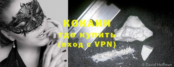 шишки Горнозаводск